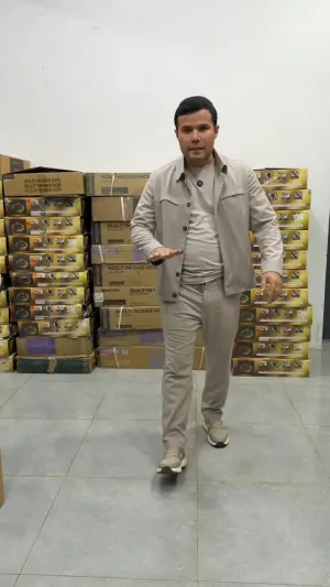 Пылесос ручной Ferre HVC8213